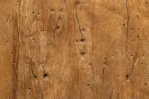 How to Repair Dog-Chewed Wood Furniture: close-up of scratches and gouges in a solid wood surface.