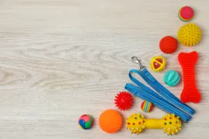 Colorful dog chew toys arranged on a light wood floor to help prevent furniture damage.