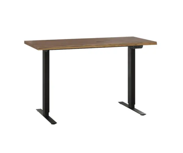 Adona Adjustable Standing Desk